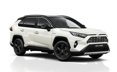 toyota rav4 auto hoge instap